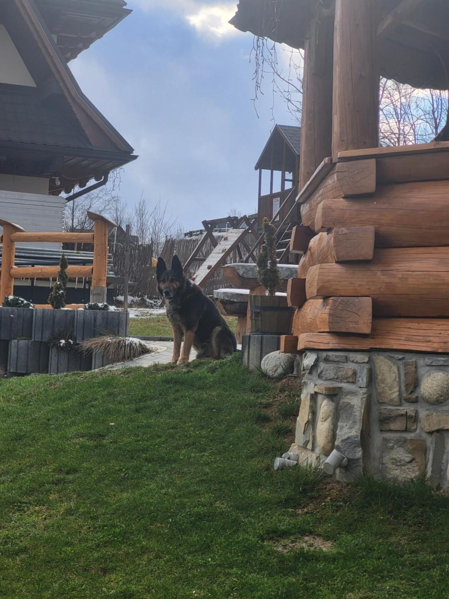 Apartamenty I Pokoje W Willi Na Ubocy Suche Exterior foto