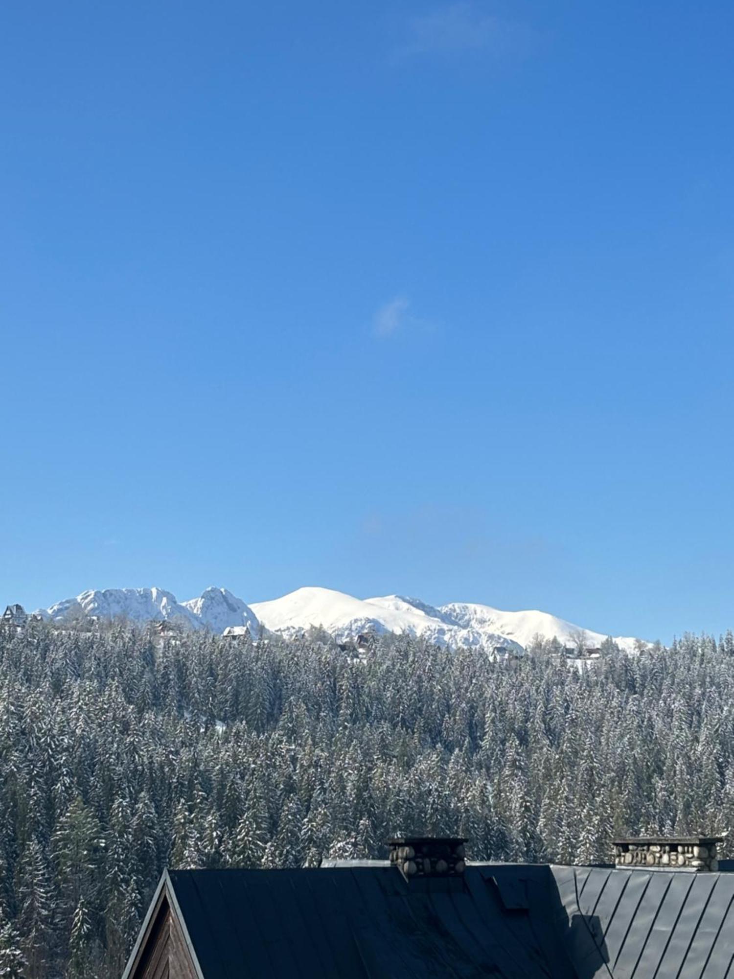 Apartamenty I Pokoje W Willi Na Ubocy Suche Exterior foto